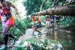 BIB: 
                            <button type="button" onclick="openModal(25446616)" class="btn btn-primary btn-sm float-right btn-popup" data-toggle="modal" data-target=".modal-high-quality">
                        <i class="fas fa-shopping-cart"></i> Add to Cart
                    </button>
                                            <button type="button" onclick="isThisMe(25446616, true)" class="btn btn-success btn-sm float-right btn-popup btn-isme hidden" data-toggle="tooltip" data-placement="bottom" title="นี่คือรูปของคุณใช่ไหม คลิกที่นี่เพื่อเอาเข้าอัลบั้ม">
                        <i class="fas fa-plus"></i> Add to album
                    </button>
                    <button type="button" onclick="isThisMe(25446616, false)" class="btn btn-warning btn-sm float-right btn-popup btn-isnotme hidden">
                        <i class="fas fa-ban"></i> Remove from album
                    </button>